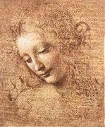 Madchenkopf with confused hair LEONARDO da Vinci